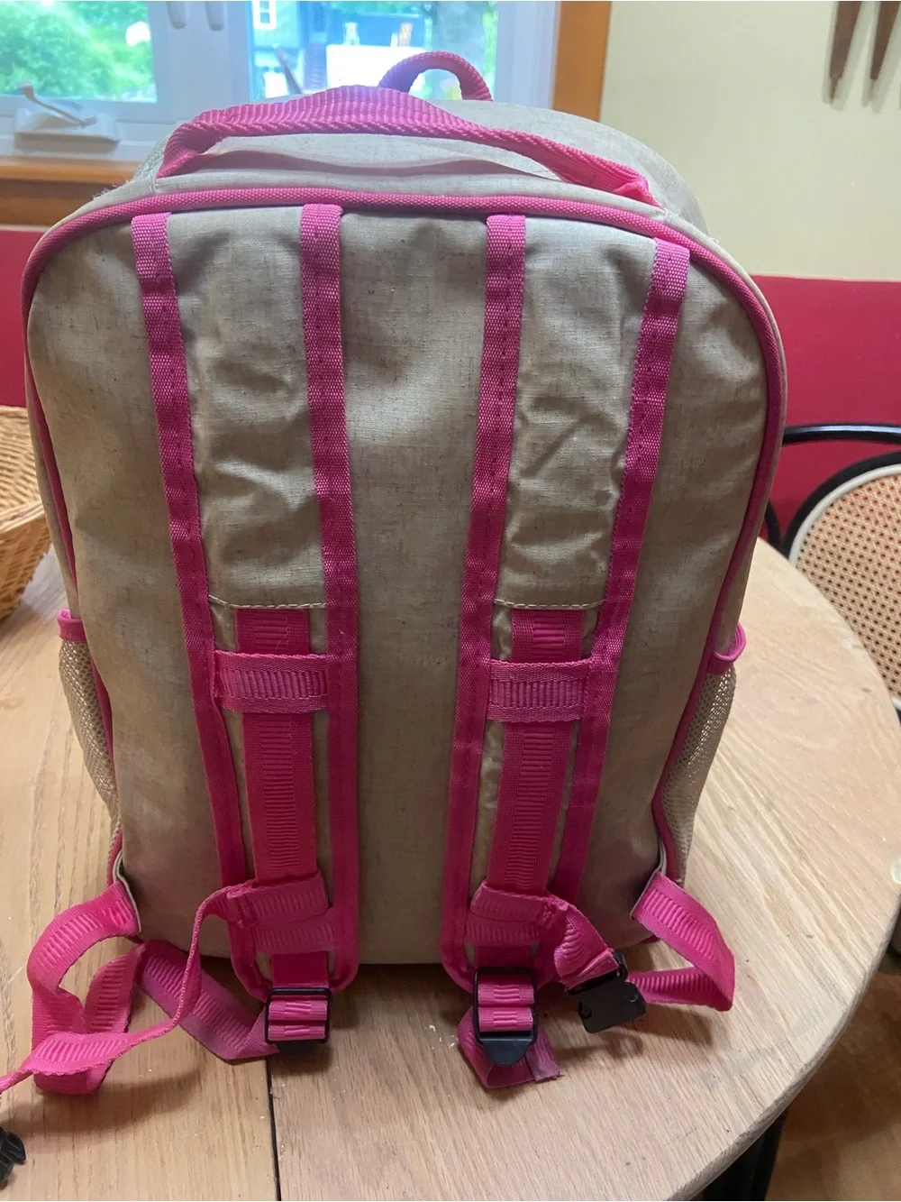 Canvas Dog-Print Pet Backpack with Pink Trim